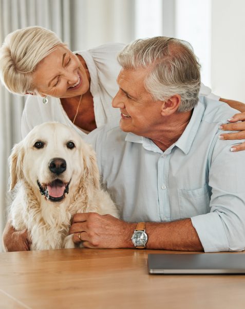 How Estate Planning Can Help Protect Your Pets